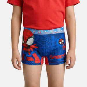 https___www.miniglam.gr_162839_spiderman-swim-trunks